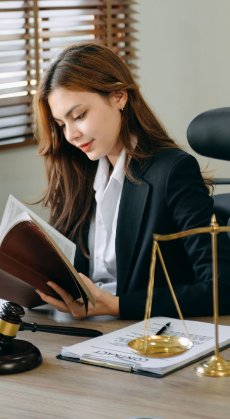 Court Litigation Support